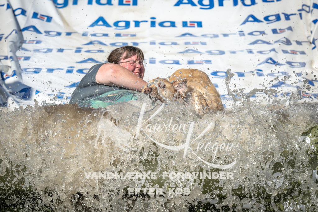 1635_ZZ90694 | kk-dogfotos