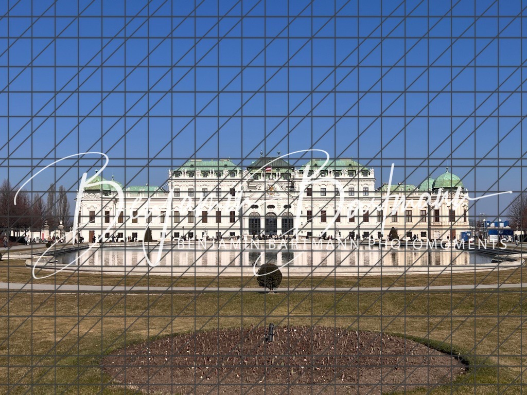 IMG_7362 | Benjamin Bartmann Photomoments