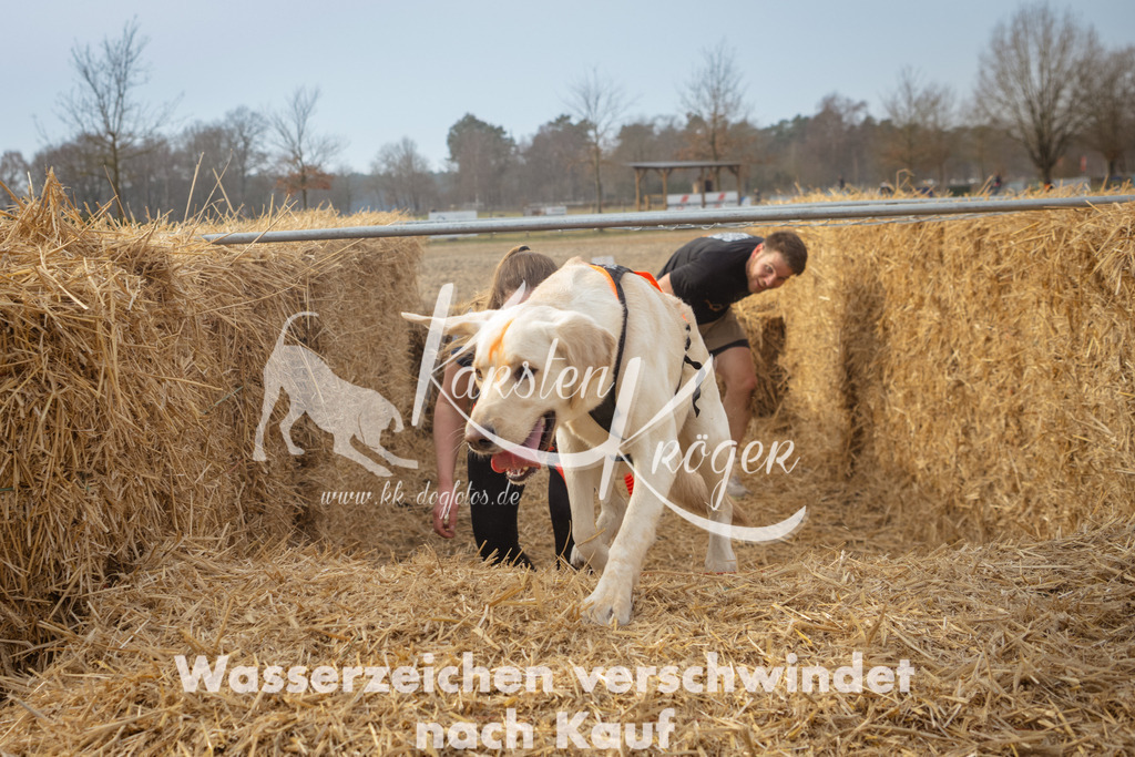 1017_ZZ93656 | kk-dogfotos