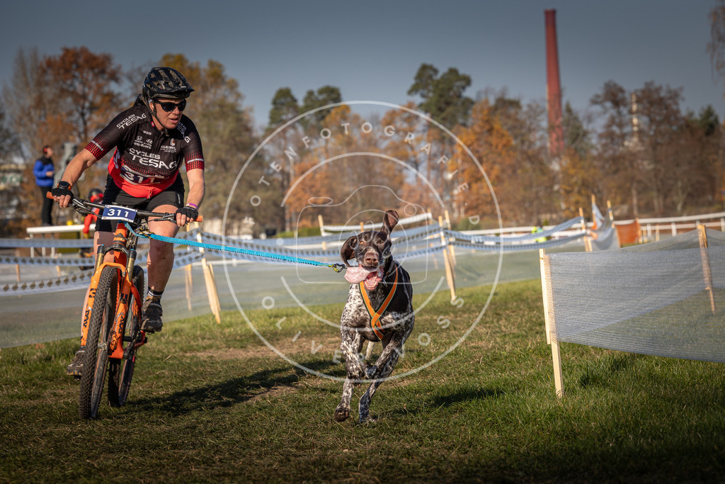 CaniXpix_0L8A6746 | Hundefotografie, Tierfotograf, Pfotenfotografie, Fotoshooting Hund, Hunde Portrait, Hundesport, Hundeportraits, Heideshooting, Hunde, Sportfotograf, Hundefotograf, Turnierhundsport, THS,  - Realisiert mit Pictrs.com