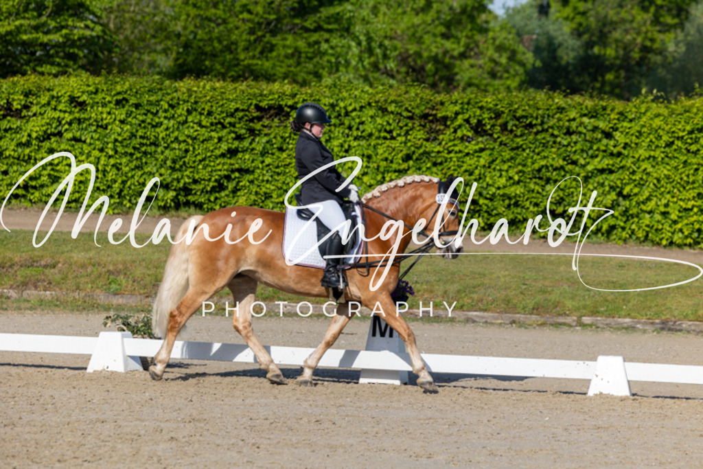 7I8A2141 | melanie-engelhardt-photography - Realisiert mit Pictrs.com