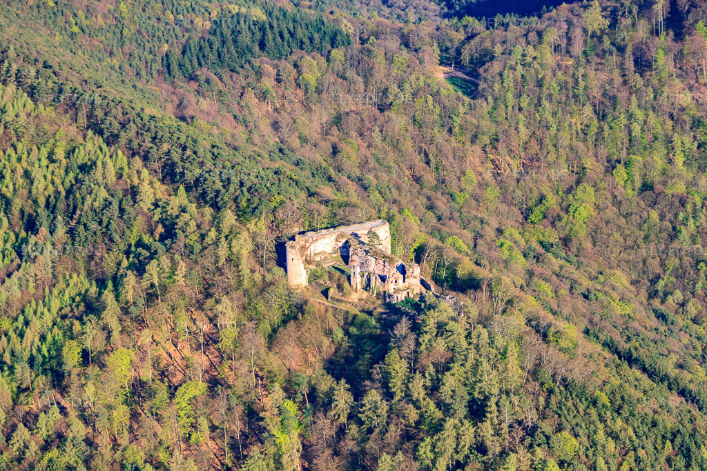 Luftbild: Burgruine Neuscharfeneck in Flemlingen im Bundesland Rheinland-Pfalz in Deutschland. Foto: IMG_56640.jpg vom 25.04.2013 durch Werner Riehm/FLY-FOTO.de