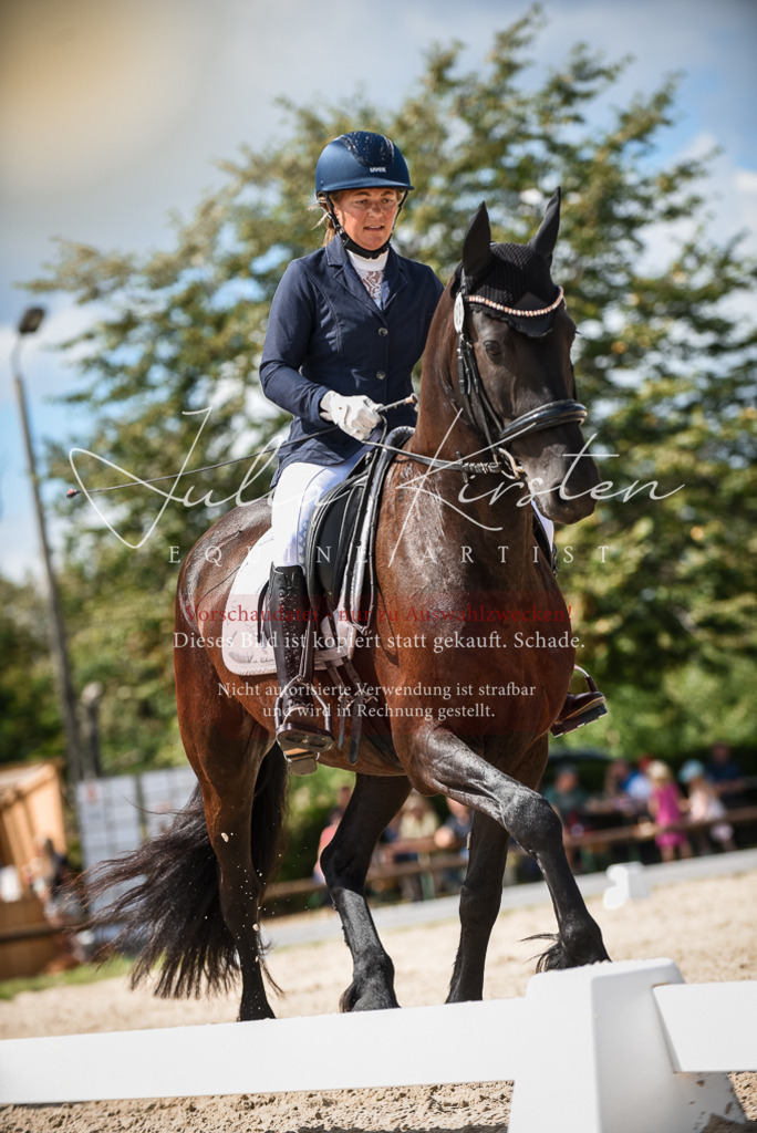 DSC_9173 | Pferde- und Turnierfotografie in Westsachsen. Pferdeportraits, Auftragszeichnungen und intuitive Kunst.