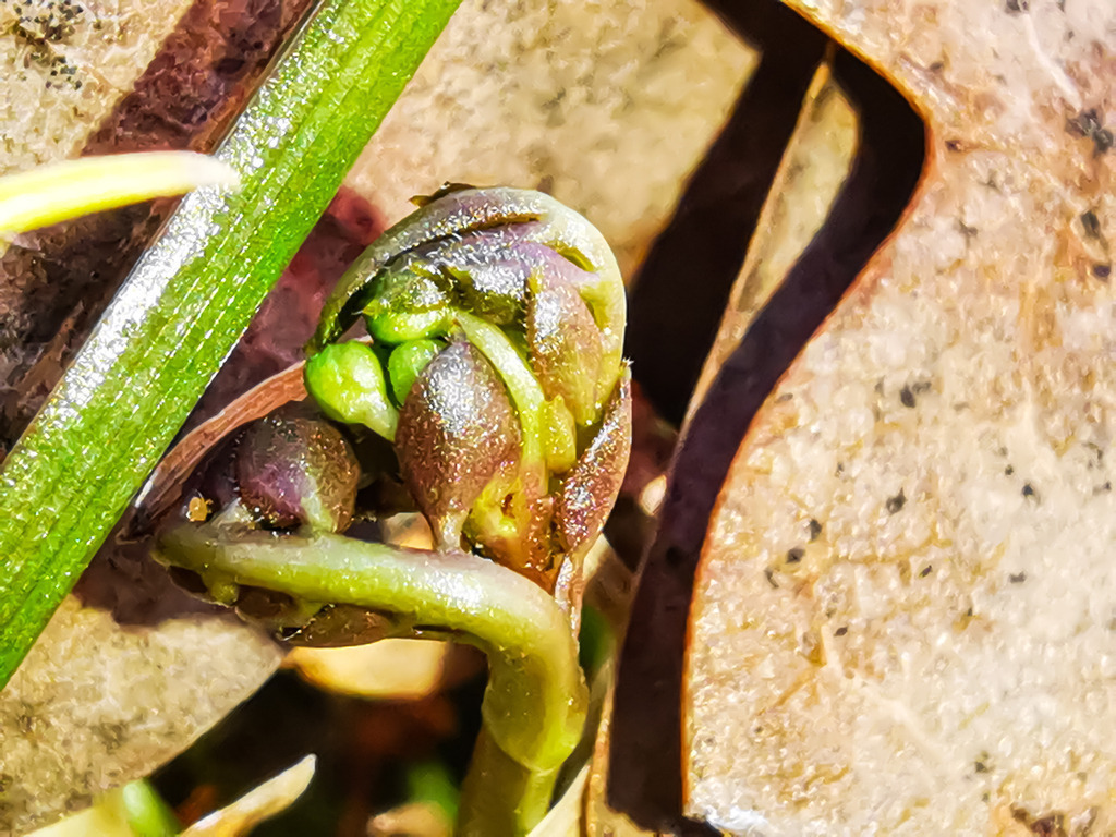 PSX_20230313_224027 | mtkfoto_ - Realisiert mit Pictrs.com