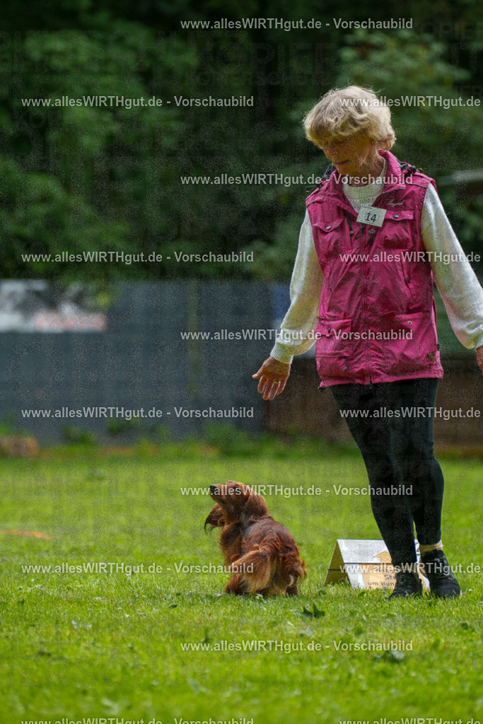 @allesWIRTHgut_Tierfotografie - www.allesWIRTHgut.de - 091045-7R506674 | Professionelle Tierfotografie in Mönchengladbach von Daniel Wirth (allesWIRTHgut). Liebevolle & natürliche Bilder von Hunden & Katzen für unvergessliche Erinnerungen.