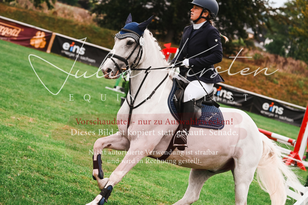 DSC_5950 | Pferde- und Turnierfotografie in Westsachsen. Pferdeportraits, Auftragszeichnungen und intuitive Kunst.