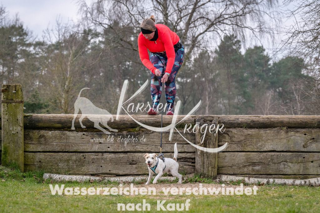 _ZZ91999 | kk-dogfotos