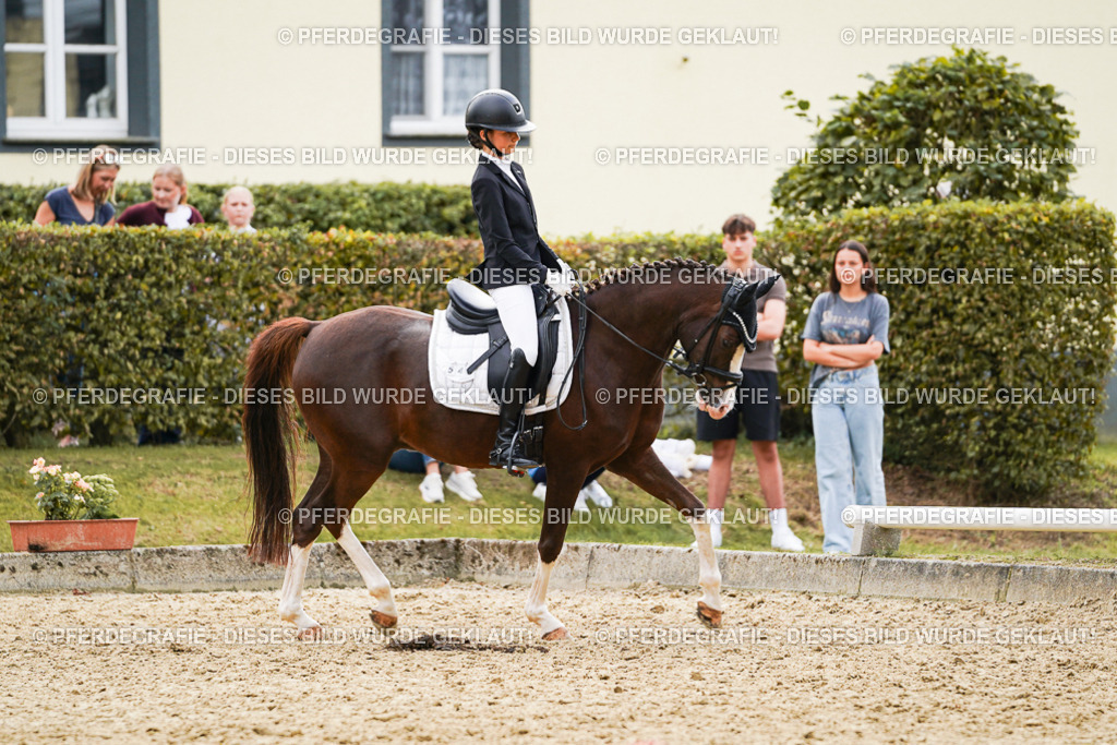 DSC00885 | Pferdegrafie