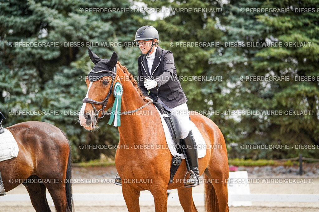 DSC02356 | Pferdegrafie