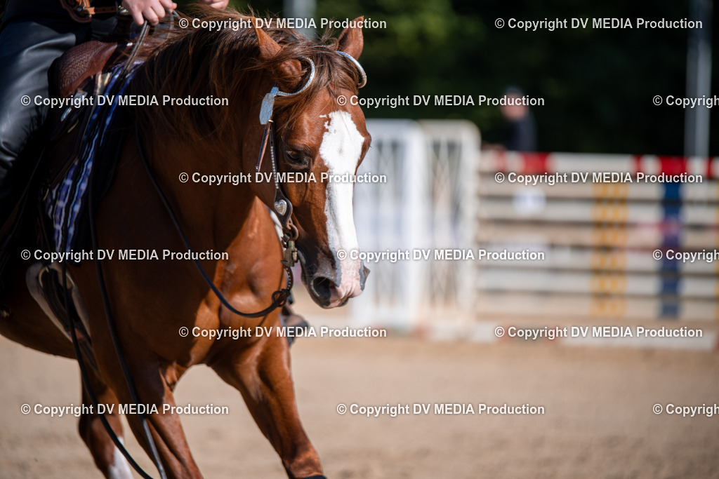 ZS1_0729 | dv-media-shop - Realisiert mit Pictrs.com