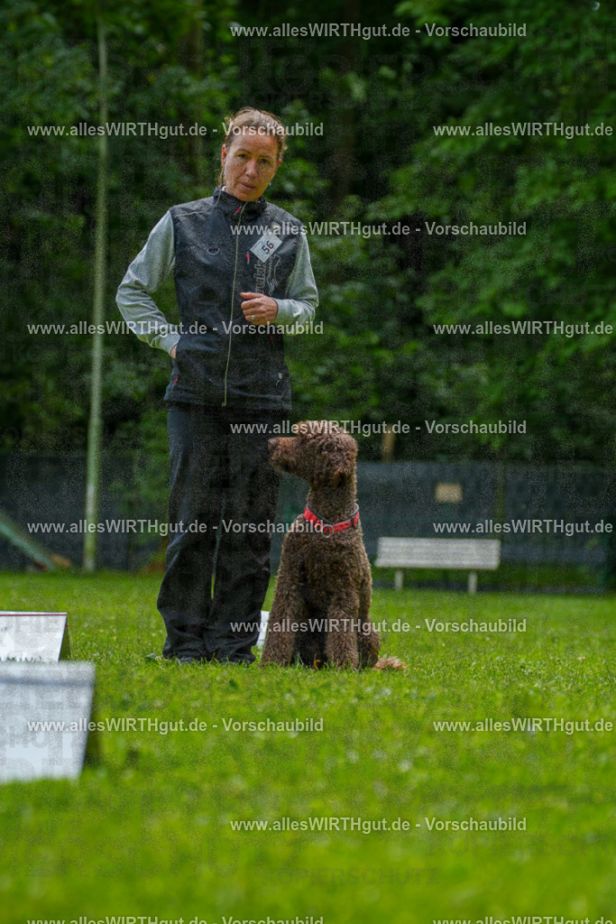 @allesWIRTHgut_Tierfotografie - www.allesWIRTHgut.de - 7R501109 | Professionelle Tierfotografie in Mönchengladbach von Daniel Wirth (allesWIRTHgut). Liebevolle & natürliche Bilder von Hunden & Katzen für unvergessliche Erinnerungen.