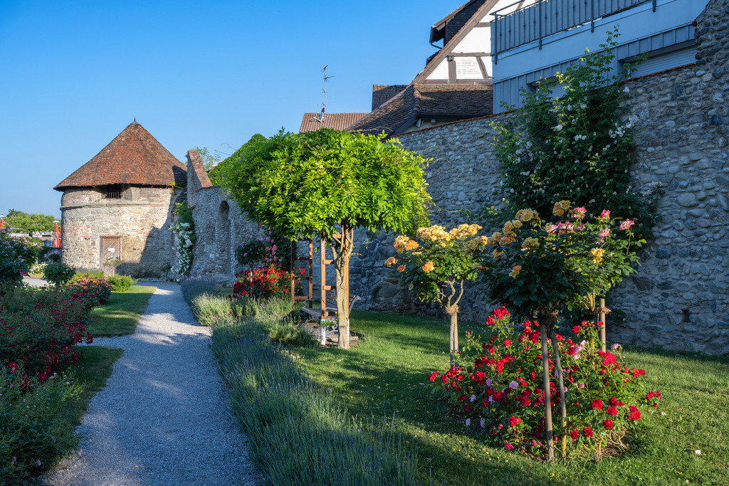 Radolfzellbilder_0440 | Der Rosengarten am Stadtgraben - Realisiert mit Pictrs.com
