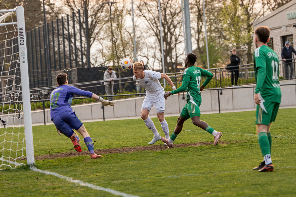 Fußball I Herren I Saison 2025-2026 I Landesliga Weser-Ems I 23. Spieltag I SFN Vechta - BW Lohne II I 00187 | jns.sportfotos - Realisiert mit Pictrs.com