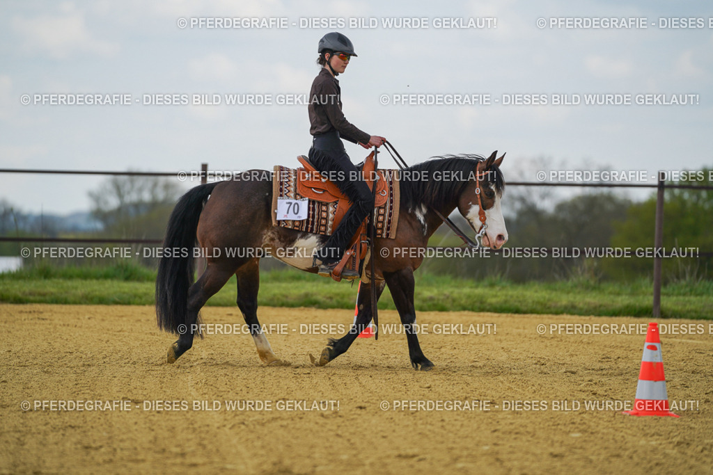 DSC06157 | Pferdegrafie