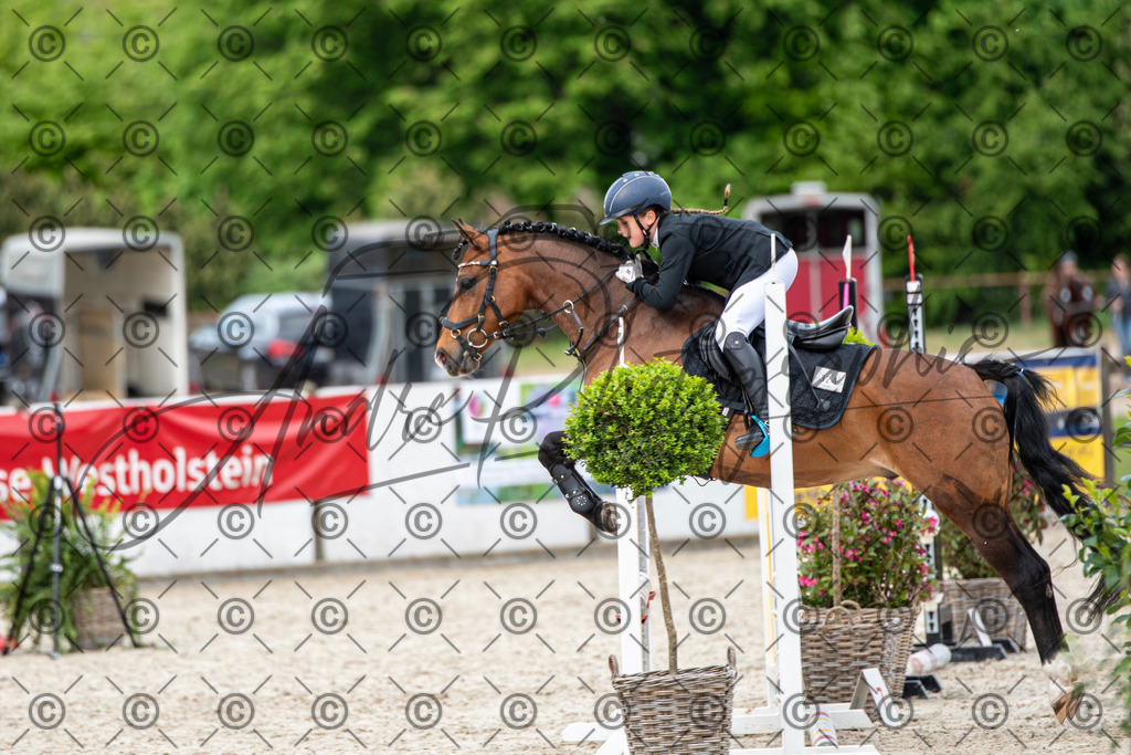 KPT_6356 | andre_photographic