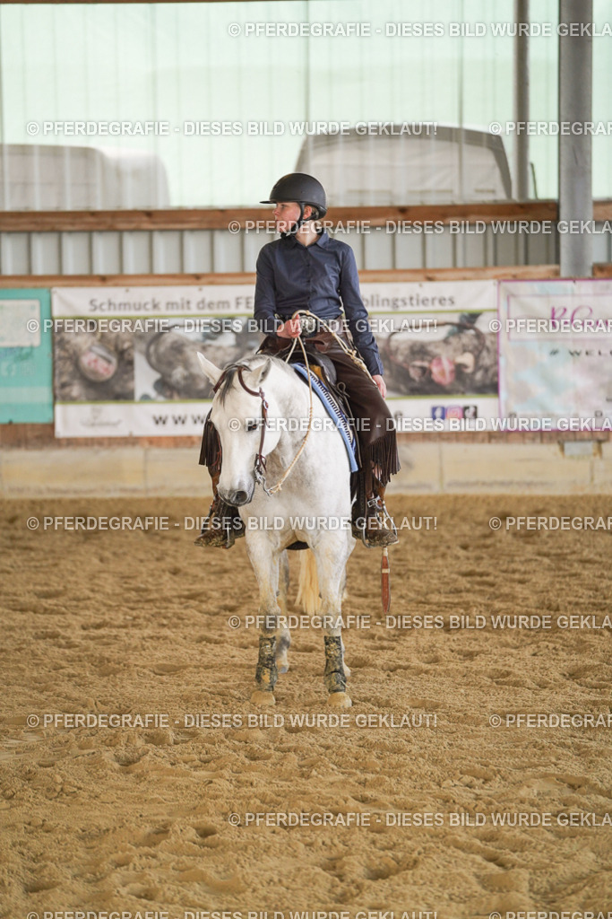 DSC08932 | Pferdegrafie