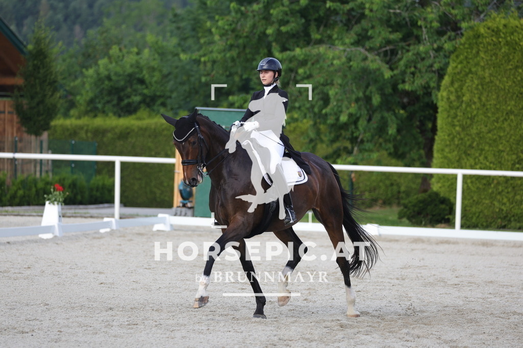0P6A4284 | Willkommen bei Brunnmayr - Design & Fotografie – Ihrem Spezialisten für Reitturniere und Pferdeveranstaltungen in Oberösterreich, Salzburg und Bayern! Seit über 17 Jahren sind wir leidenschaftlich dabei.