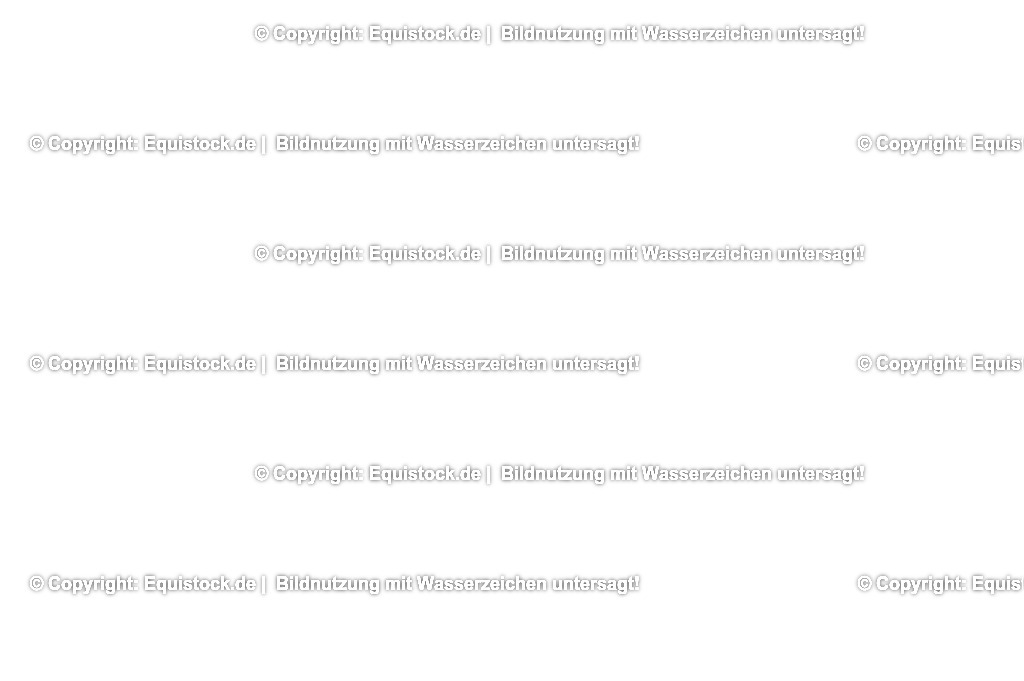 20230529_20_CSI4_Großer-Preis_0861 | equistock