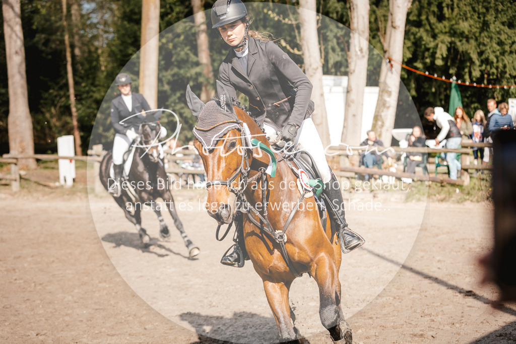 3I6A3832 | Stimmungsvolle Portraits und Reitsportfotografie im Ruhrgebiet und im Münsterland.

Pferdefotografie, Hundefotografie, Tierfotografie, Reportagen, Portraits von Tier und Mensch, Turnierfotografie in Bochum, Recklinghausen, Marl, Haltern am See, Dülmen.. - Realisiert mit Pictrs.com