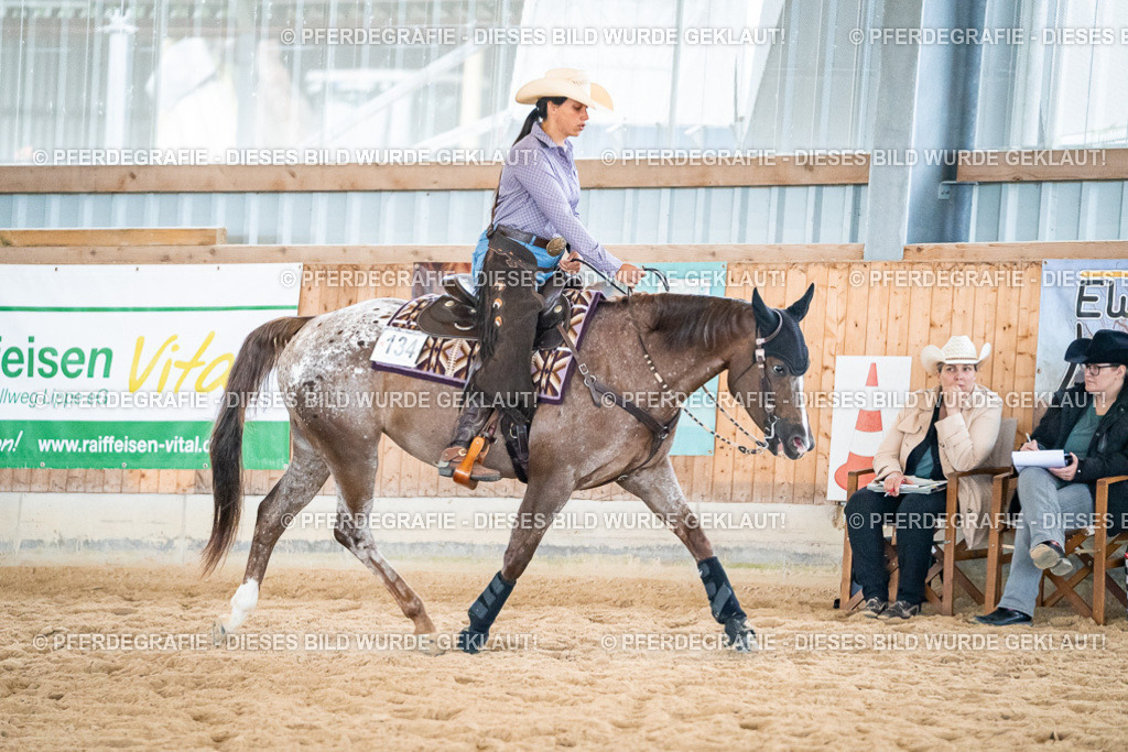 DSC03309 | Pferdegrafie