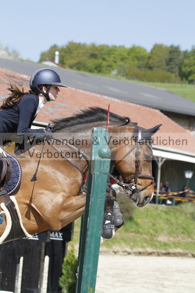 _MG_9634 | equestrian-live-com