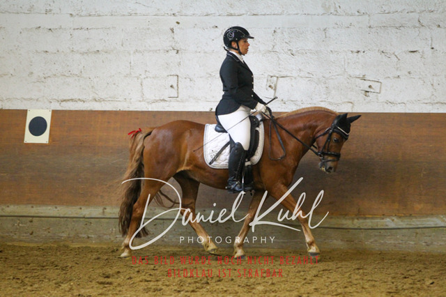 DKP43410 | Turniersportfotografie; Pferdefotografie; Dressurfotografie