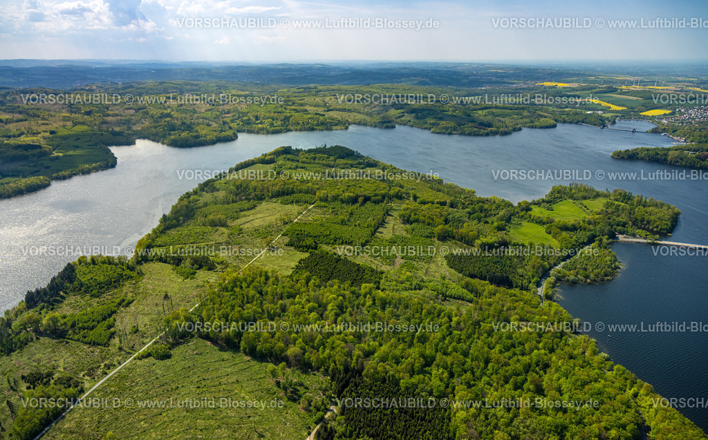 Moehnesee240506106Friedwald | Luftbild Blossey Luftbilder NRW Deutschland