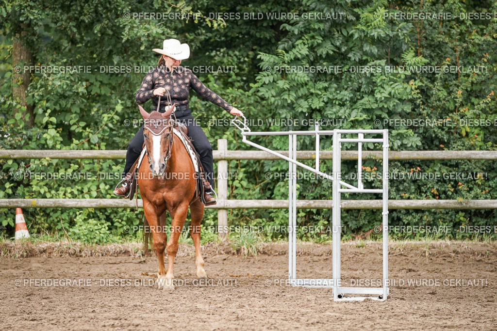 DSC03994 | Pferdegrafie