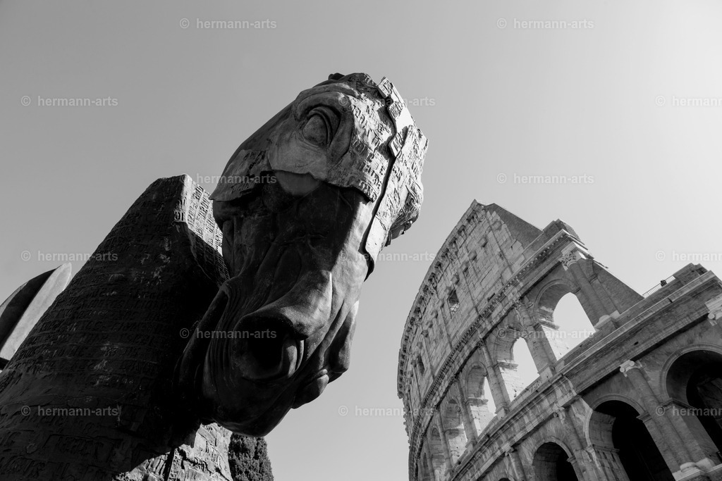Skulptur-Arts-006 | Photo Foto Kunst Art schwarzweiss Bilder Rheine Münster Berlin Blumen 