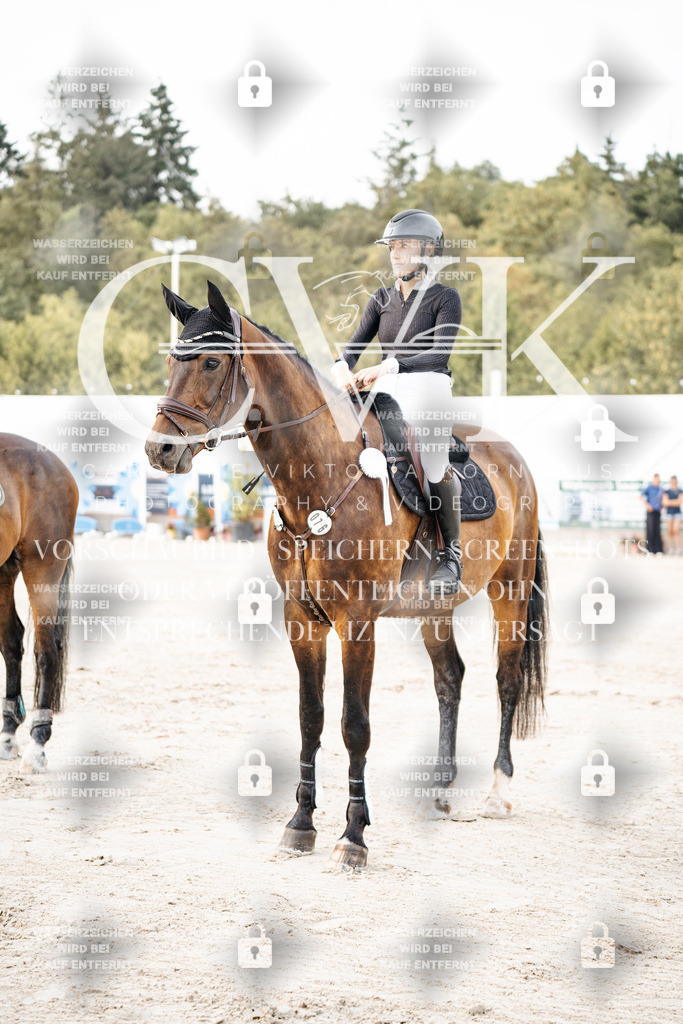 CK704246 | Turnierfotografie Pferdefotografie Trier Rheinland-Pfalz Pferdesport Reitsport Tierfotografie Sportfotografie Pferdevideo Pferdevideografie Equestrianvideography equestrianphotography  - Realisiert mit Pictrs.com