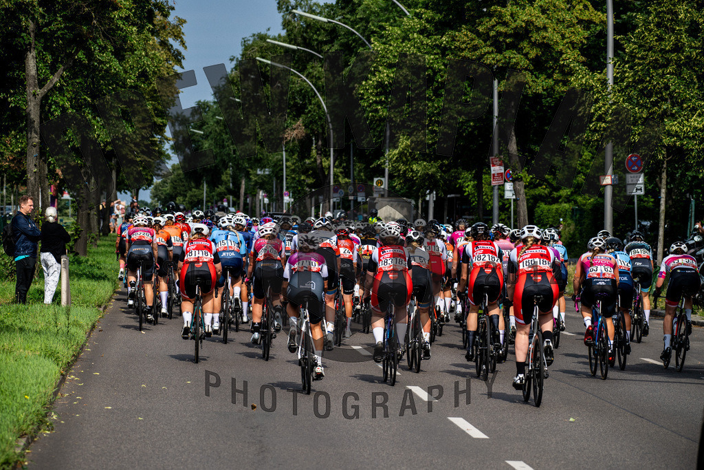 _DKP7944 | Drew Kaplan Photography