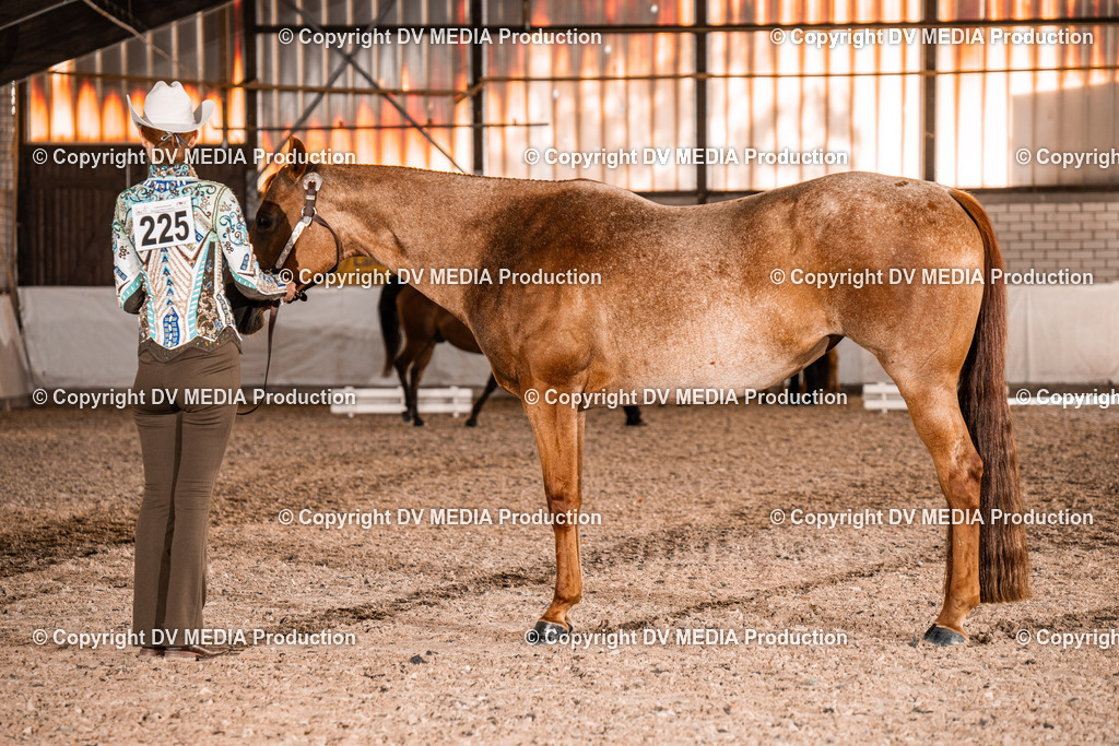 ZH100200 | dv-media-shop - Realisiert mit Pictrs.com