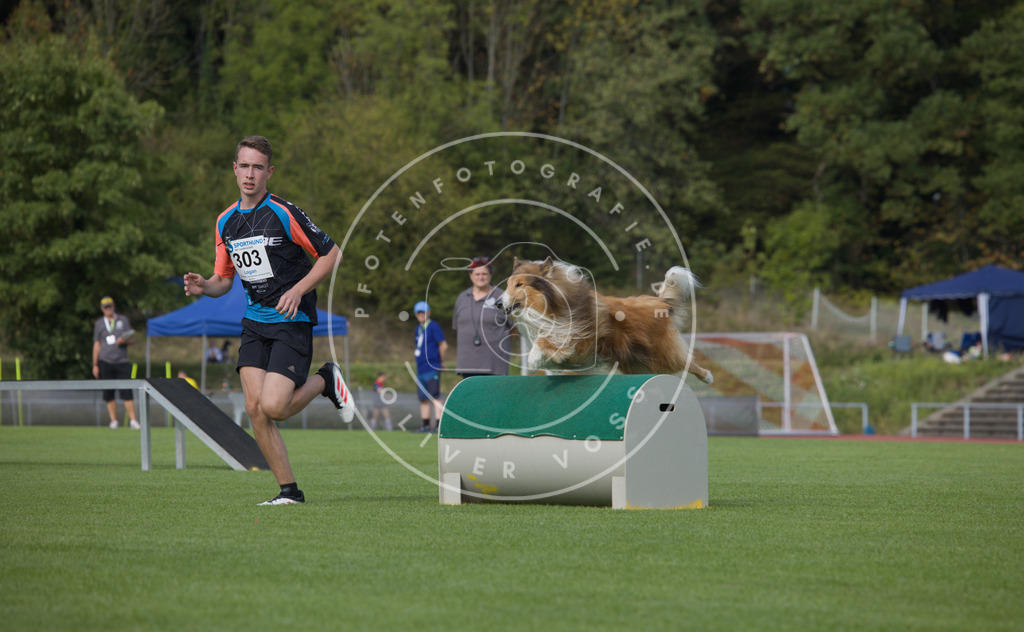 0L8A3609 | Hundefotografie, Tierfotograf, Pfotenfotografie, Fotoshooting Hund, Hunde Portrait, Hundesport, Hundeportraits, Heideshooting, Hunde, Sportfotograf, Hundefotograf, Turnierhundsport, THS,  - Realisiert mit Pictrs.com
