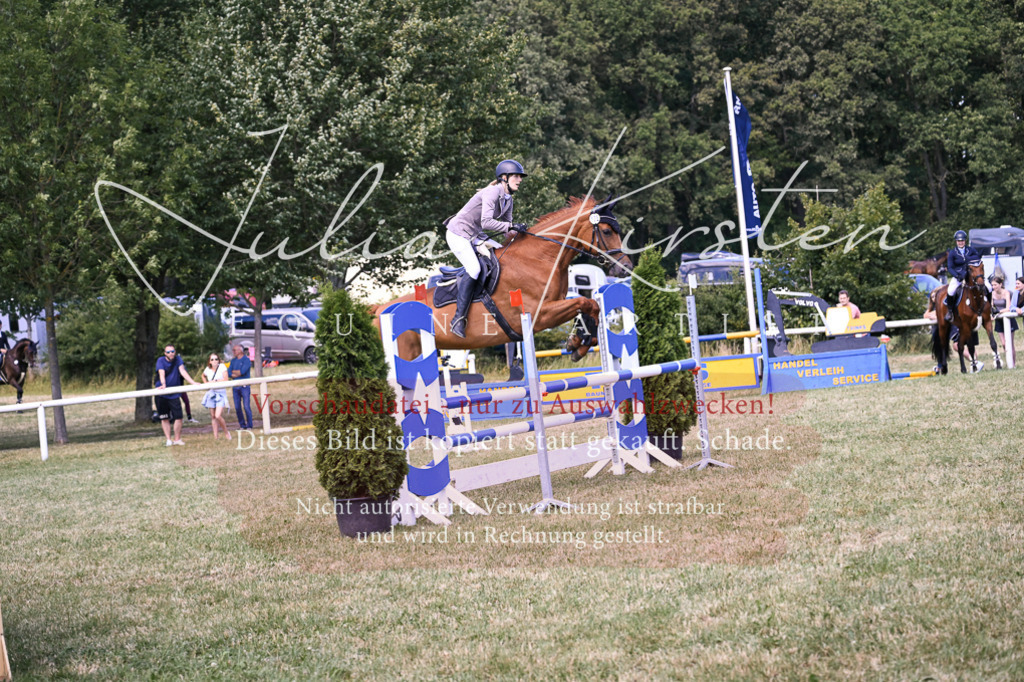 DSC_0230 | Pferde- und Turnierfotografie in Westsachsen. Pferdeportraits, Auftragszeichnungen und intuitive Kunst.