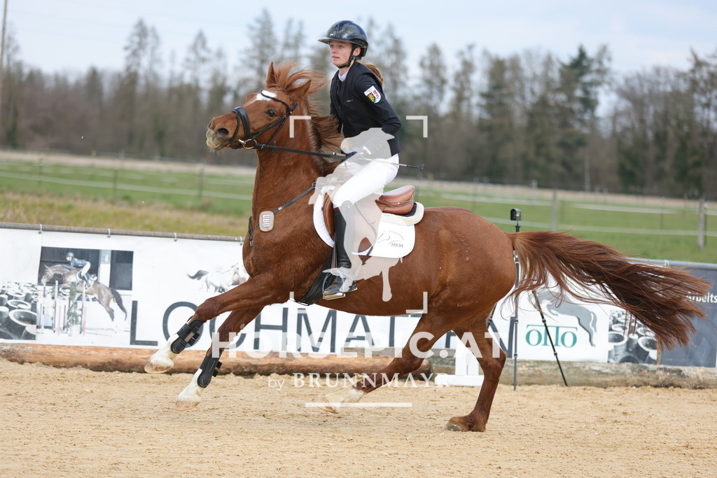 0P6A8098 | Willkommen bei Brunnmayr - Design & Fotografie – Ihrem Spezialisten für Reitturniere und Pferdeveranstaltungen in Oberösterreich, Salzburg und Bayern! Seit über 17 Jahren sind wir leidenschaftlich dabei.
