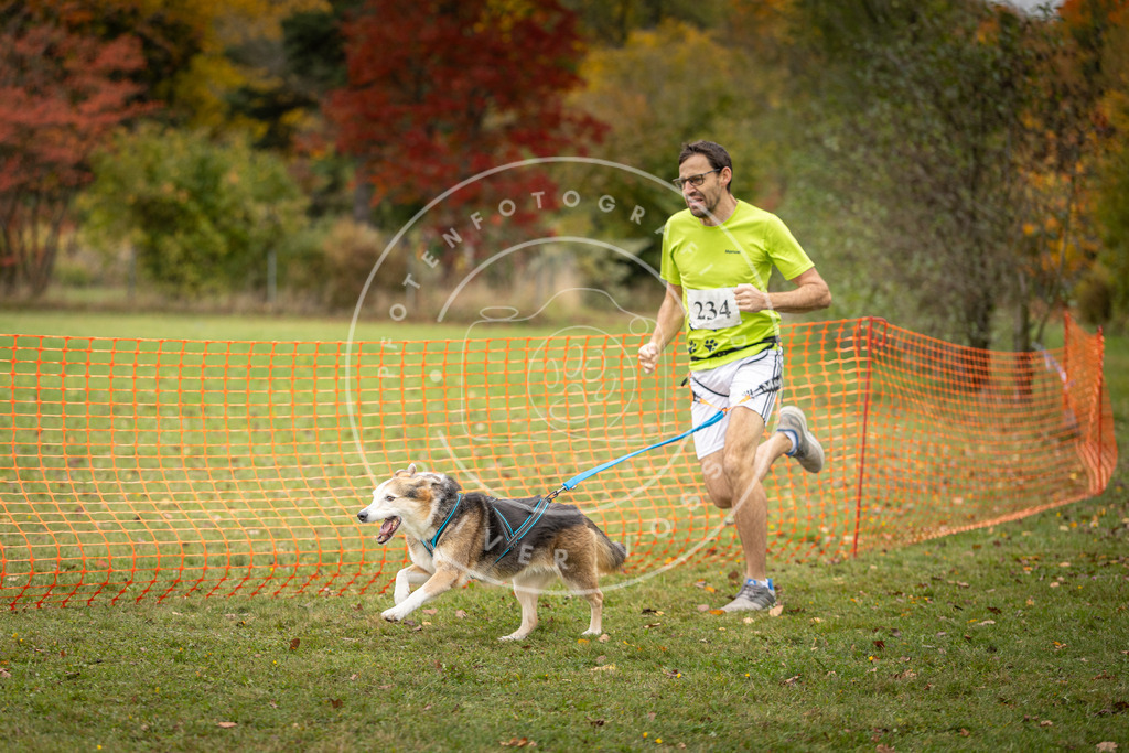 Pfotenfotografie_DV3A4395 | Hundefotografie, Tierfotograf, Pfotenfotografie, Fotoshooting Hund, Hunde Portrait, Hundesport, Hundeportraits, Heideshooting, Hunde, Sportfotograf, Hundefotograf, Turnierhundsport, THS,  - Realisiert mit Pictrs.com