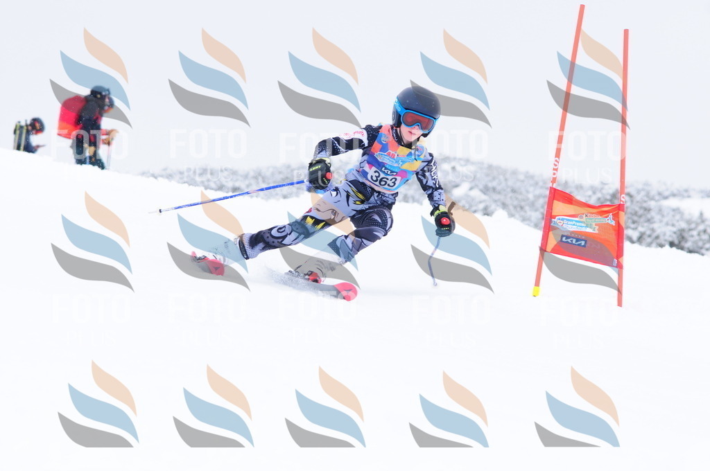 C3878 | holidayphoto