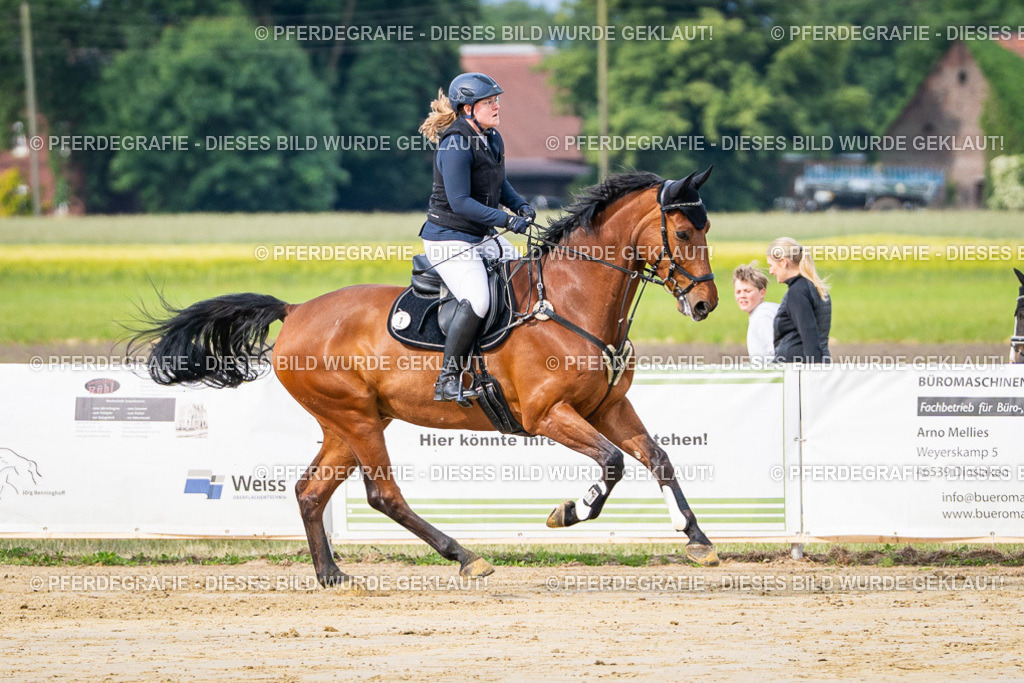 DSC03616 | Pferdegrafie