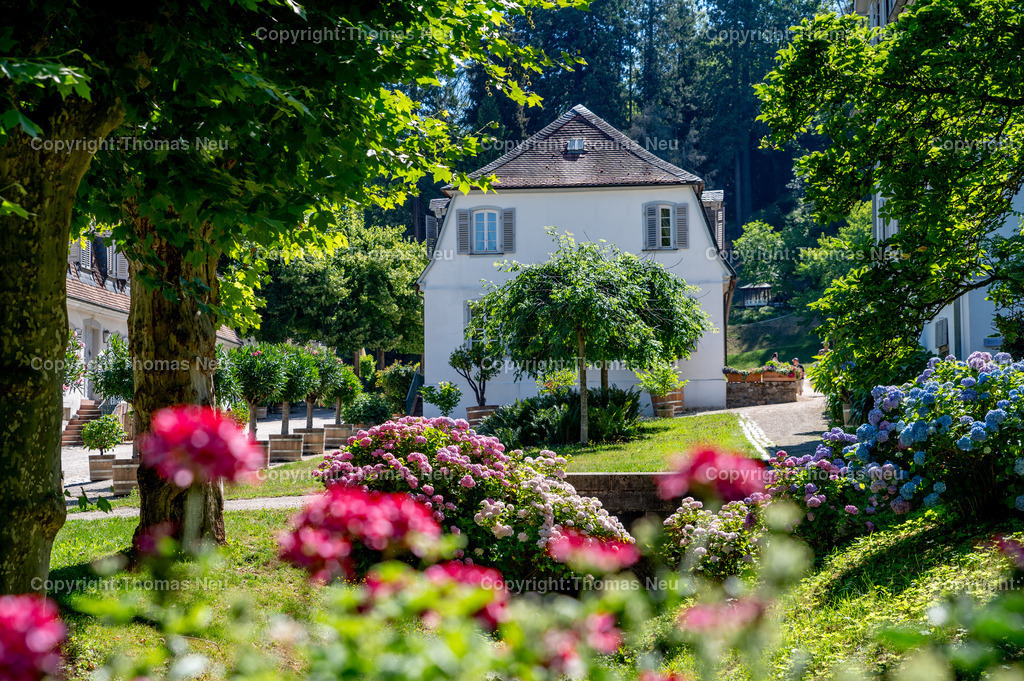 DSC_9285 | Der Staatspark Fürstenlager in Bensheim Auerbach, an der hessischen Bergstraße- ist ein wunderschöner Landschaftspark nach englischen Vorbild. Es war die Sommerresidenz der Darmstädter Fürstenfamilie die hier das "einfache Landleben" genossen. Zu jeder Jahreszeit kann man das Fürstenlager als Ausflugsziel empfehlen. Im Herrenhaus ist eine Gastronomie untergebracht. Im Sommer findet auf der Bühne vor der großen Wiese ein Opern-Air statt, 
