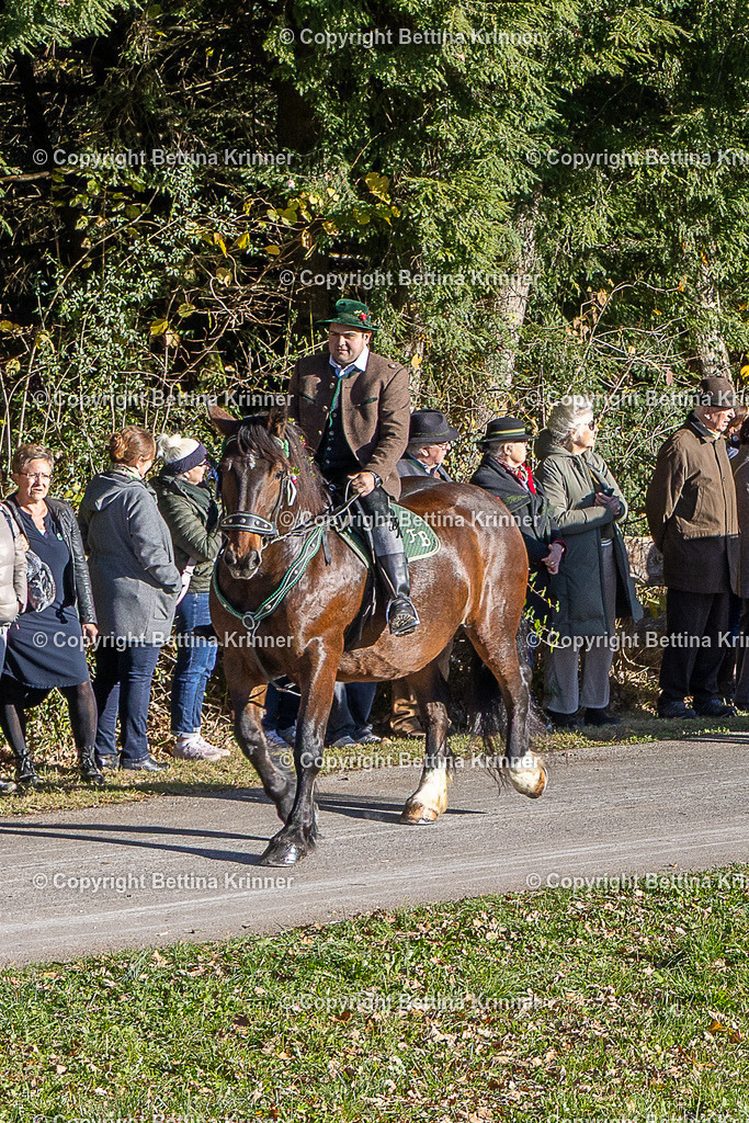 LBT25-175 | foto-bettina-krinner - Realisiert mit Pictrs.com