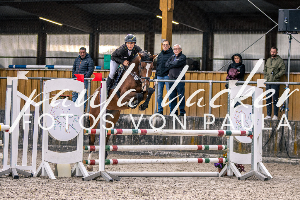 IMG_5065 | Erleben Sie dynamische Sport- und emotionale Tierfotografie in Süddeutschland mit Fotos von Paula. Spezialisiert auf Pferde- und Hundefotografie sowie Sportevents. Kontaktieren Sie mich für einzigartige und ausdrucksstarke Bilder Ihrer besonderen Momente. - Realisiert mit Pictrs.com