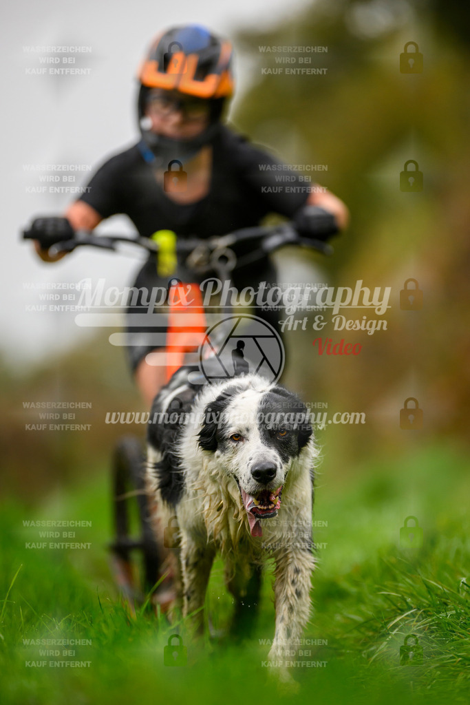 MompixPhotography_20TSB_E8_DS1-60 | PayLife