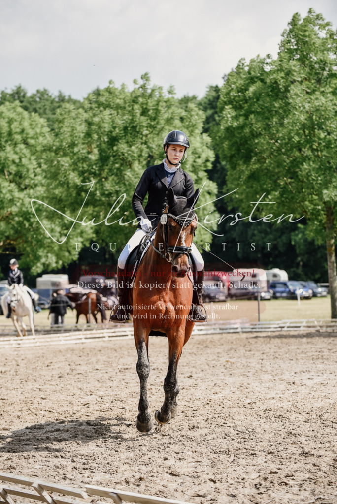 DSC_0476 | Pferde- und Turnierfotografie in Westsachsen. Pferdeportraits, Auftragszeichnungen und intuitive Kunst.