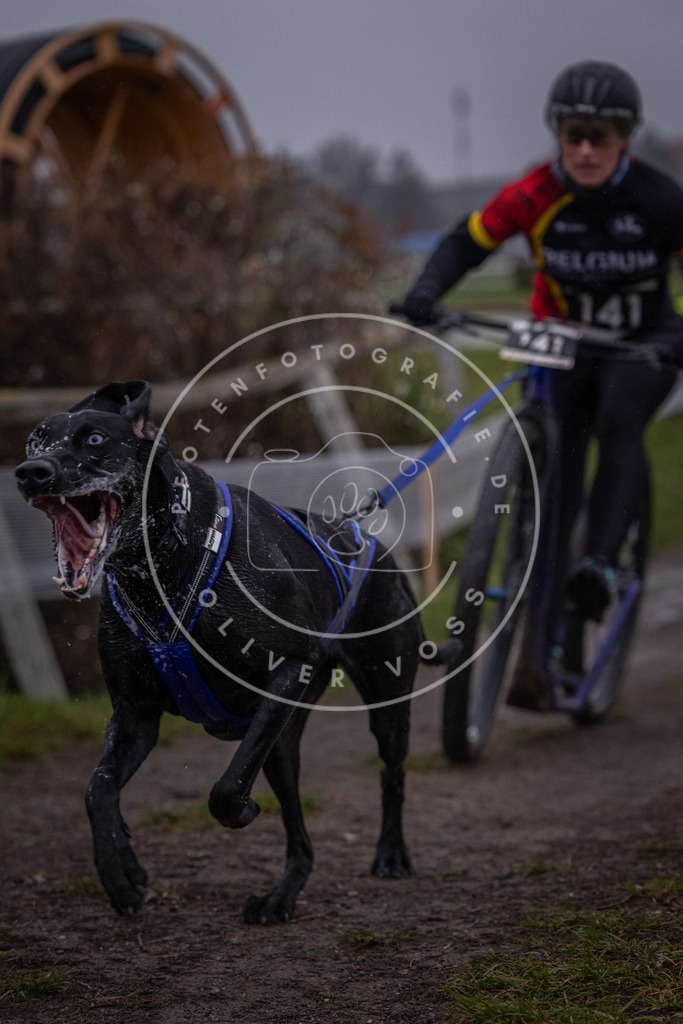 CaniXpix_0L8A0519 | Hundefotografie, Tierfotograf, Pfotenfotografie, Fotoshooting Hund, Hunde Portrait, Hundesport, Hundeportraits, Heideshooting, Hunde, Sportfotograf, Hundefotograf, Turnierhundsport, THS,  - Realisiert mit Pictrs.com