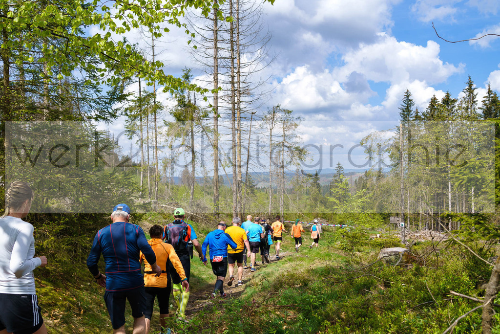 Rennsteiglauf 2023 | Rennsteiglauf 2023 am 12. Mai 2023 - Marathon-Strecke Neuhaus/Rwg. - Schmiedefeld