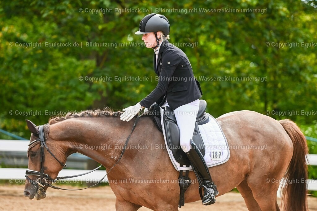 20230715_07_Dressurpferdeprfg. Kl.L_0076 | equistock