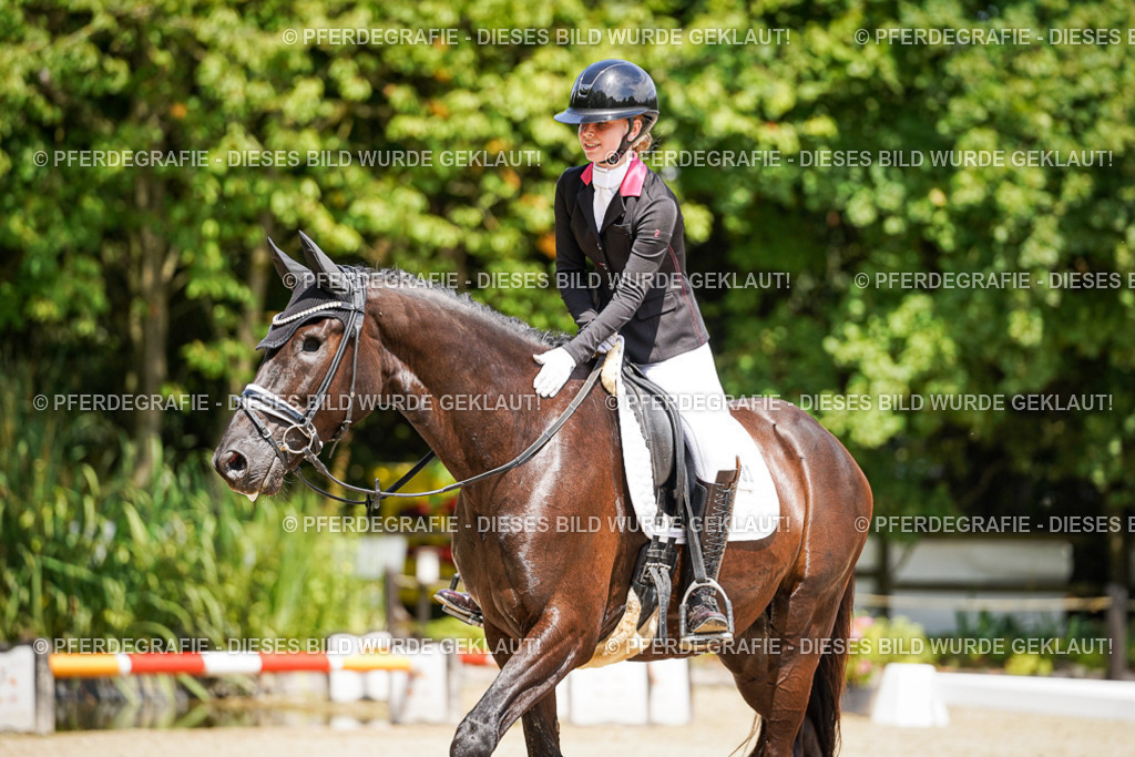 DSC01712 | Pferdegrafie