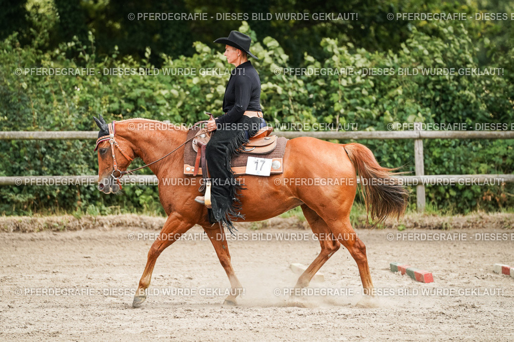 DSC08116 | Pferdegrafie