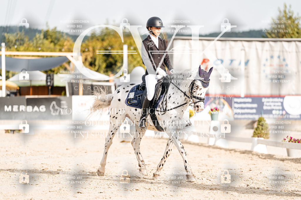 CK904365 | Turnierfotografie Pferdefotografie Trier Rheinland-Pfalz Pferdesport Reitsport Tierfotografie Sportfotografie Pferdevideo Pferdevideografie Equestrianvideography equestrianphotography  - Realisiert mit Pictrs.com