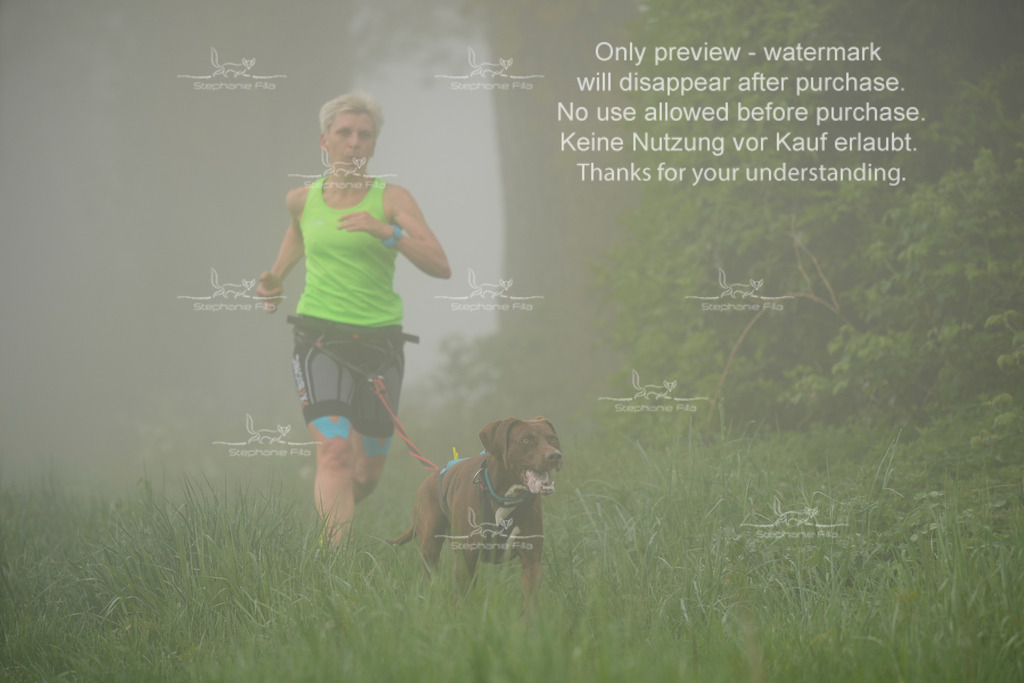 SA_GL2-95 | stephaniefillaphotographie - Realisiert mit Pictrs.com